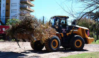 Multas a vecinos de Zona Norte por arrojar ramas en el barrio